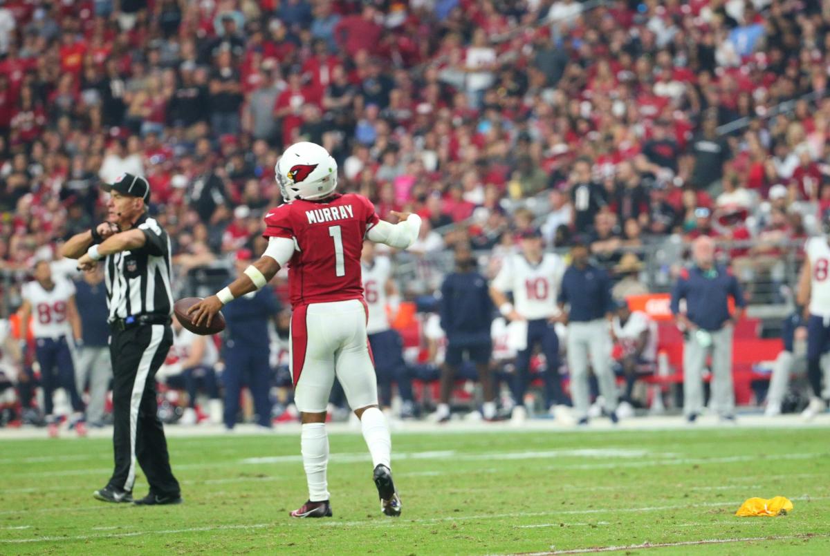 Arizona Cardinals can't over come penalties and turnovers