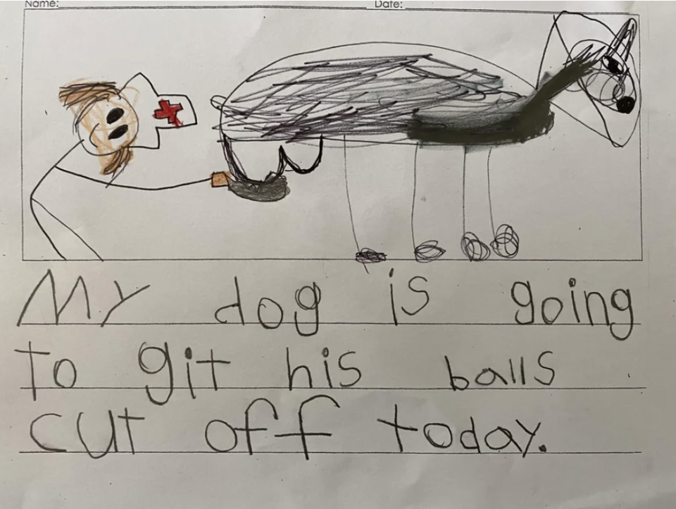 "My dog is going to git his balls cut off today."