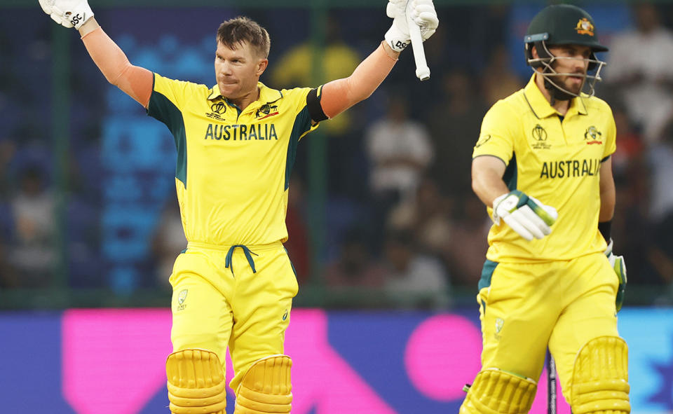 David Warner, pictured here in action for Australia at the Cricket World Cup. 