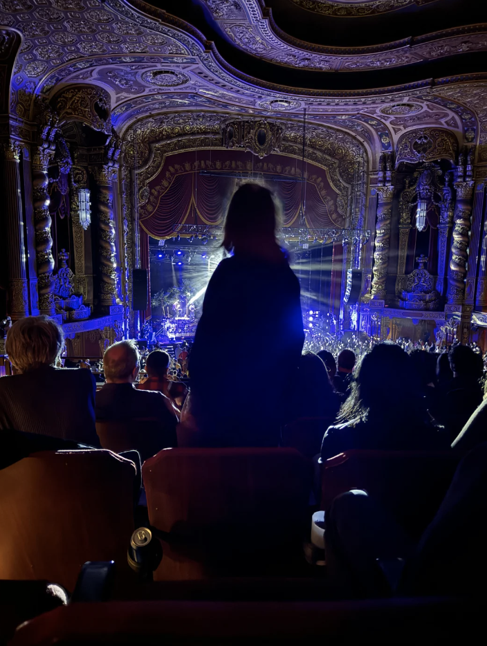 Audience member stands in a theater during a performance, obstructing the view