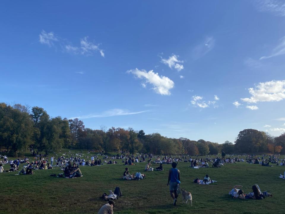 Prospect Park in Brooklyn.