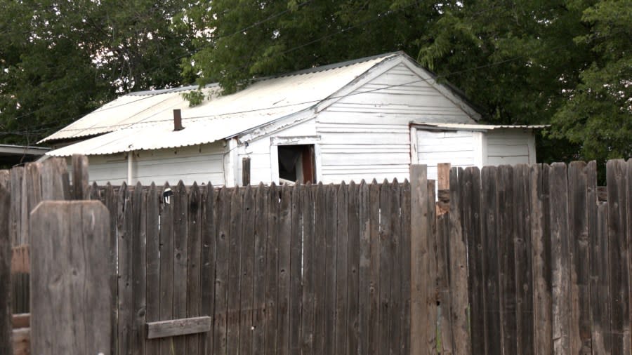 Shed during the day