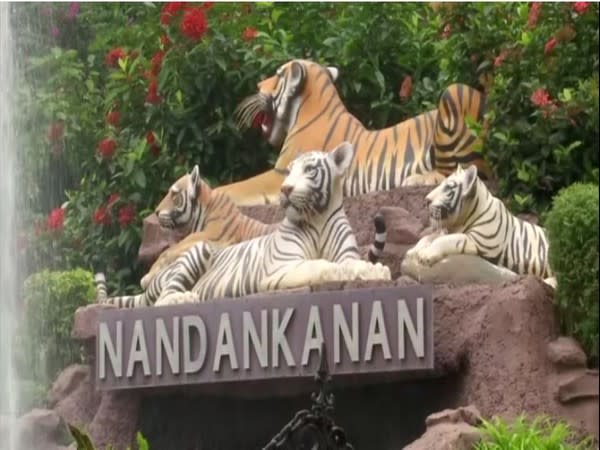 Nandankanan Zoo finally opened today. (Photos/ANI)