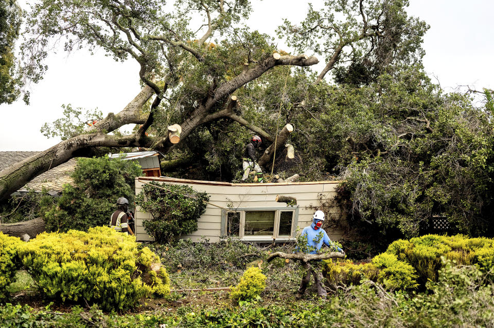 Workers clear a tree that fell onto a home during heavy wind and rain on Sunday, Feb. 4, 2024, in San Jose, Calif. (AP Photo/Noah Berger)