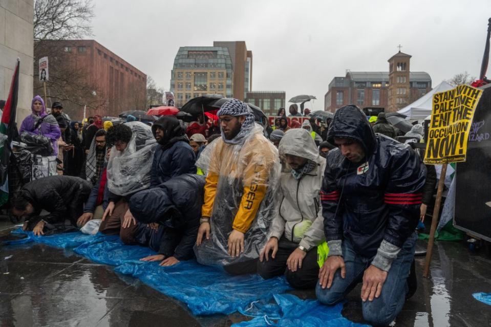 “Our enemy is greed, and our enemy is silence,” the 77-year-old actress told the hundreds of protestors who braved the rain and the wind for the Millions March for Palestine, according to a video shared by independent journalist Katie Smith. Adam Gray for New York Post