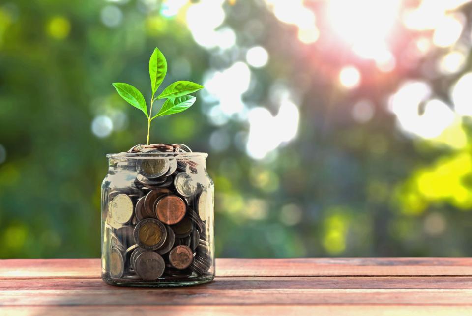 A jar full of coins sprouting a young plant.