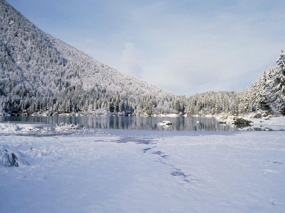 Stock image of snowy forests near Fusine upper lake