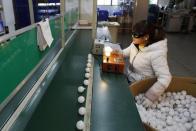 An employee tests newly-made light bulbs along a production line of a factory in Jiaxing, Zhejiang province February 6, 2015. REUTERS/William Hong