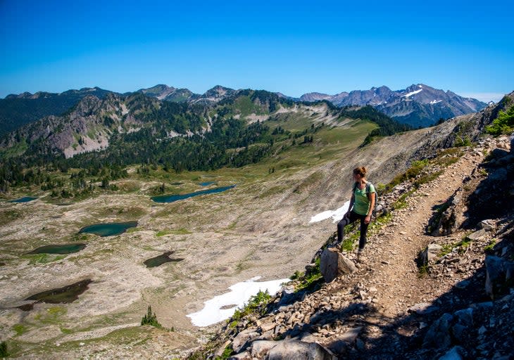 Seven Lakes Basin in Olympic National Park