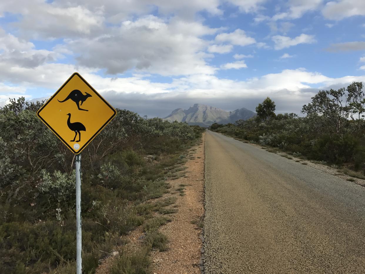 Gerade leere Straße mit Känguru-Schild in Australien. Im Hintergrund hohe Berge. Buschland neben der Straße.