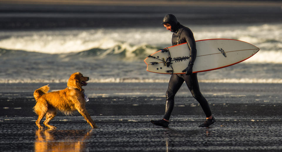 Milo reunited with his ‘dad’ after waiting patiently for him. Source: Lissa Reyden / Lissa Photography