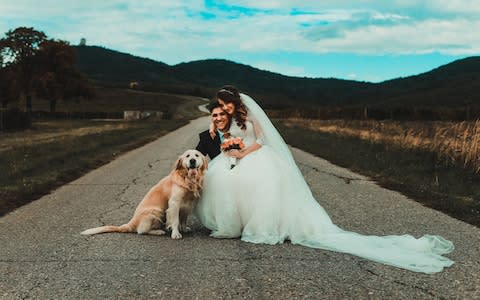 Bring your best friend to your wedding  - Credit: David Ardelean / EyeEm/EyeEm Premium / Getty Images