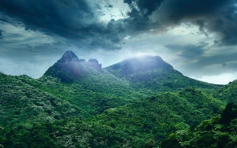 El Yunque national forest - Credit: iStock