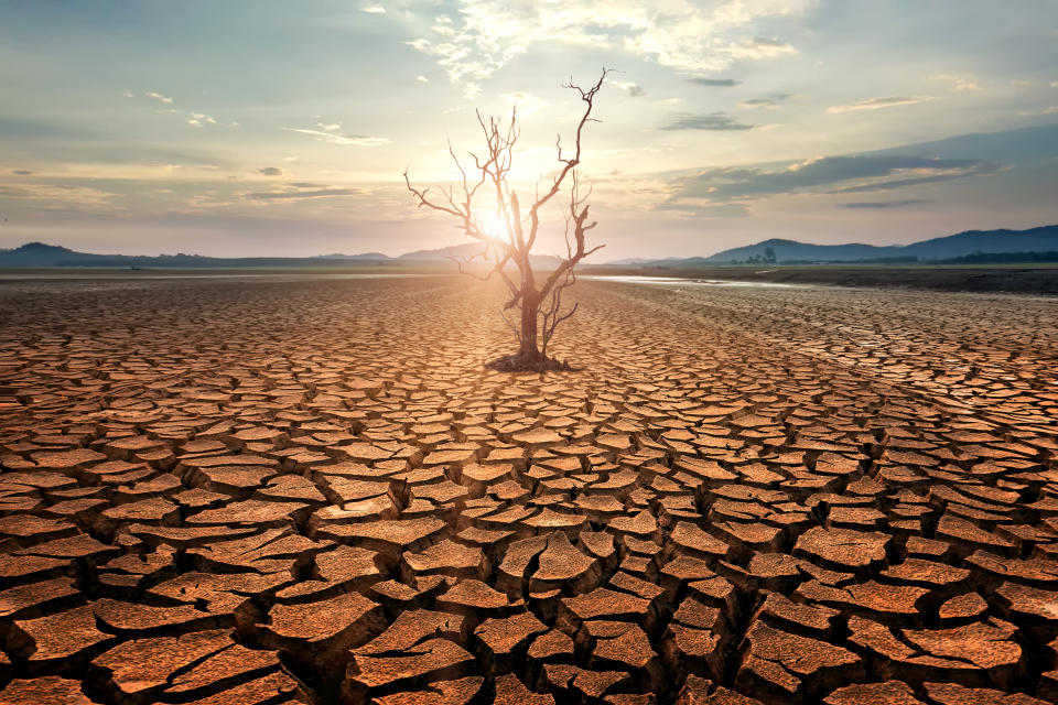 Ist Wolkenimpfen wirklich das probate Mittel gegen Regenmangel? Nicht nur fehlt der wissenschaftliche Beweist für die Wirksamkeit der Methode, sie ist auch höchst umstritten. (Symbolbild: Getty Images)