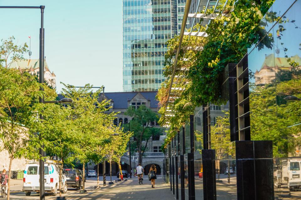 Greenery in urban spaces Montreal