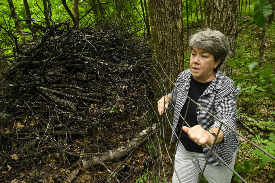 Pam Butler stands in front of a pile of dead limbs covered in black substance, as she walks her property that borders a massive Jack Daniels barrelhouse complex, Wednesday, June 14, 2023, in Mulberry, Tenn. A destructive and unsightly black fungus which feeds on ethanol emitted by whiskey barrels has been found growing on property near the barrelhouses. (AP Photo/John Amis)