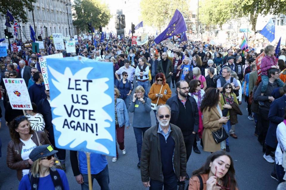 Placards read 'let us vote again' during the march (PA)