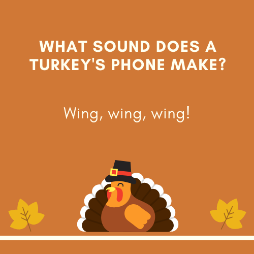 funny thanksgiving jokes