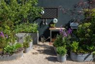 <p><strong>CONTAINER GARDEN | Award: SILVER-GILT</strong></p><p>This container garden, inspired in part by the recipes and writing of the late Roger Phillips, combines wild edible plants and trees in a small urban setting. The planting is informal, colourful and natural, and a sink and prep area against the back wall makes harvesting easy. </p>