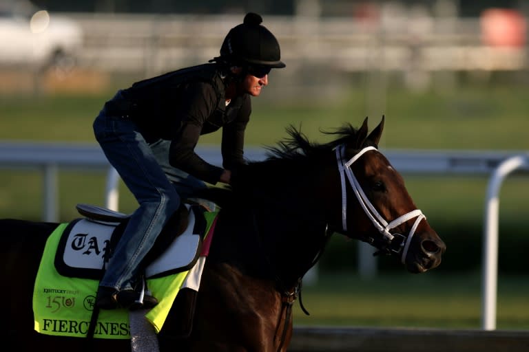 Kentucky Derby oddsmakers darling Fierceness trains at Churchill Downs ahead of Saturday's 150th "Run for the Roses" (Rob Carr)