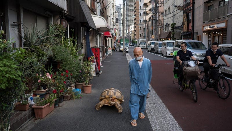 Photo:  Tomohiro Ohsumi (Getty Images)