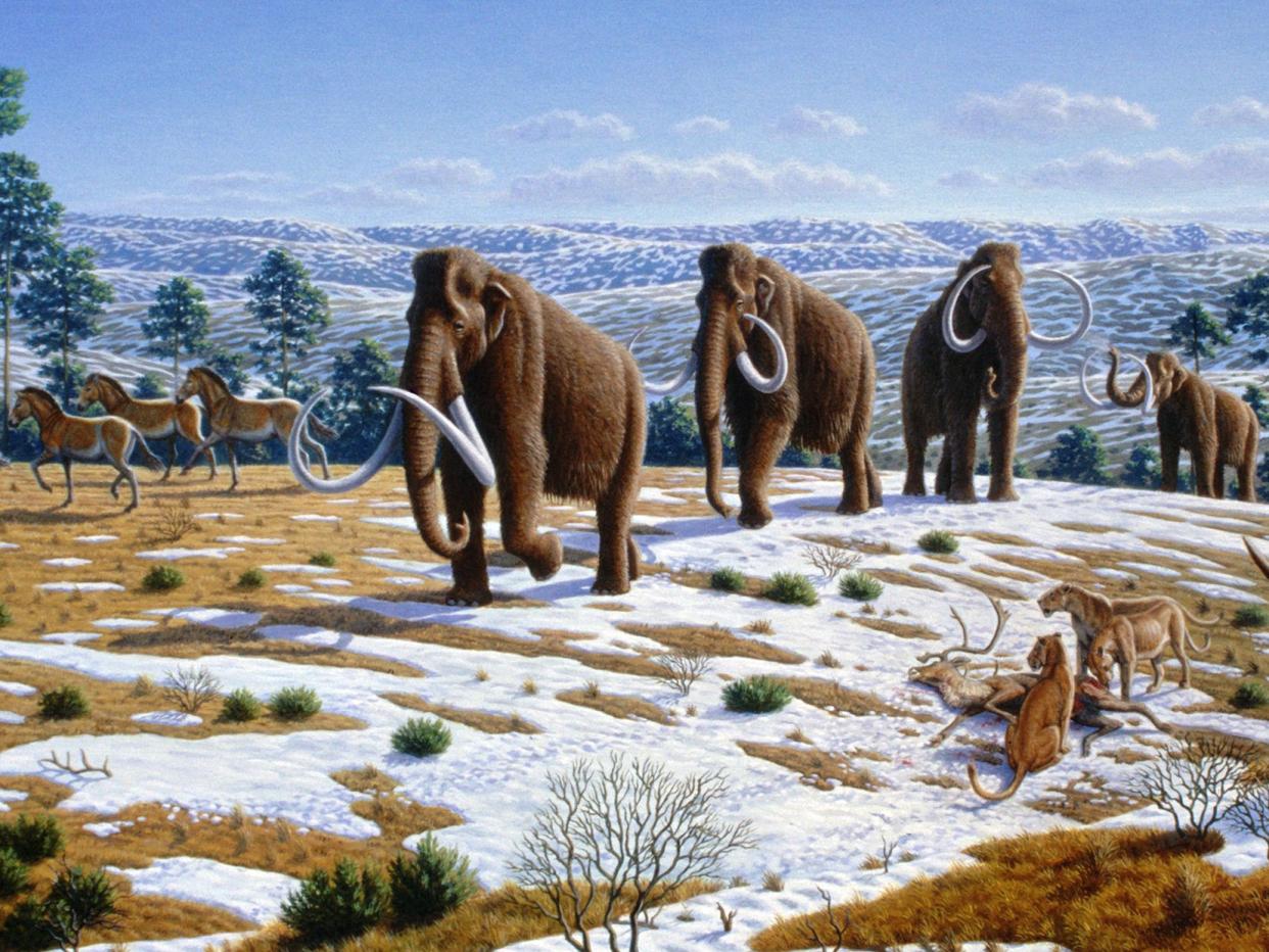 Ice_age_fauna_of_northern_Spain_ _Mauricio_Antón