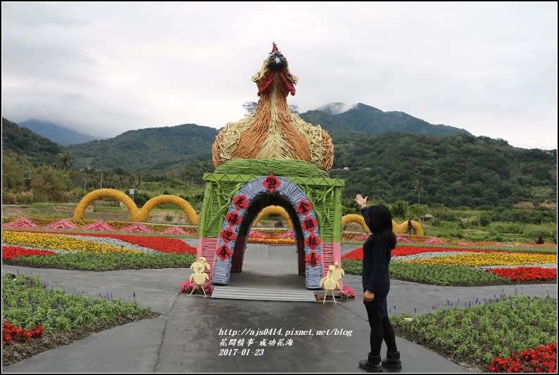 成功花海-2017-01-11.jpg