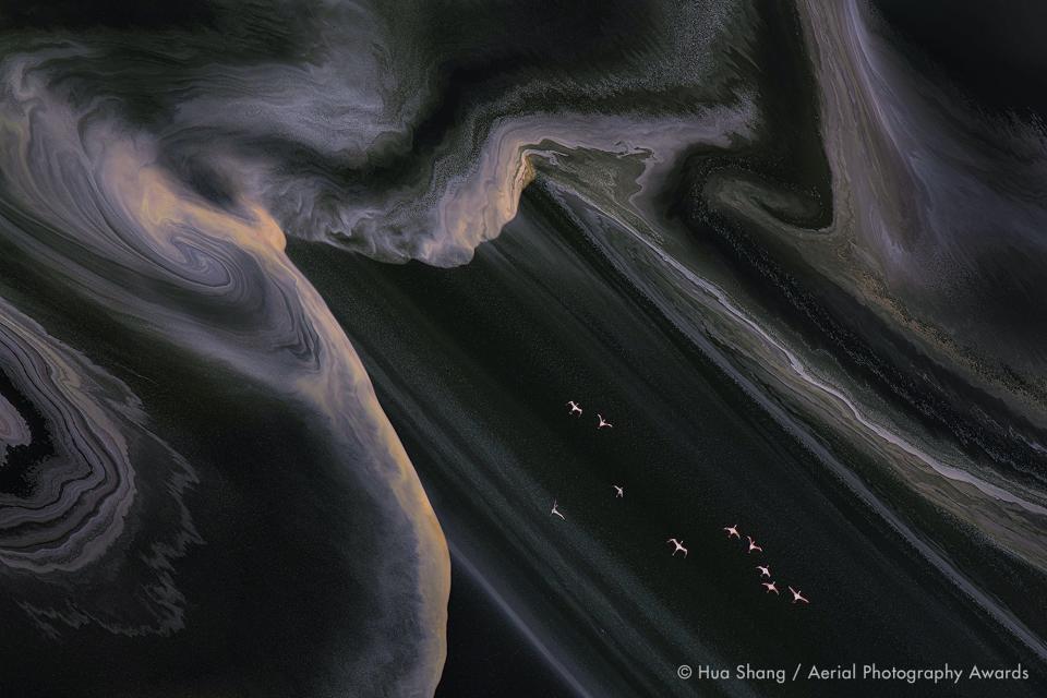 Flying Flamingos_Hua Shang_Aerial Photography Awards 2020 copy