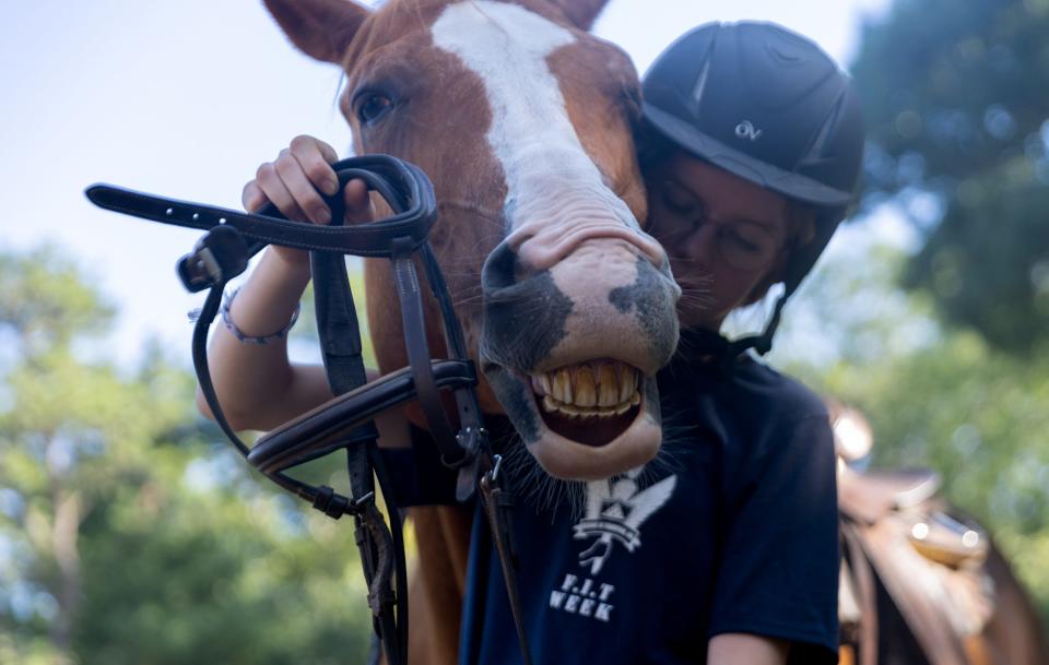 Greta Smelser, 13, tries to put the bridle on one of the horses at FIT Camp Aug. 3 at Alliance Equestrian Center in Sandwich. Sophie Proe/Cape Cod Times