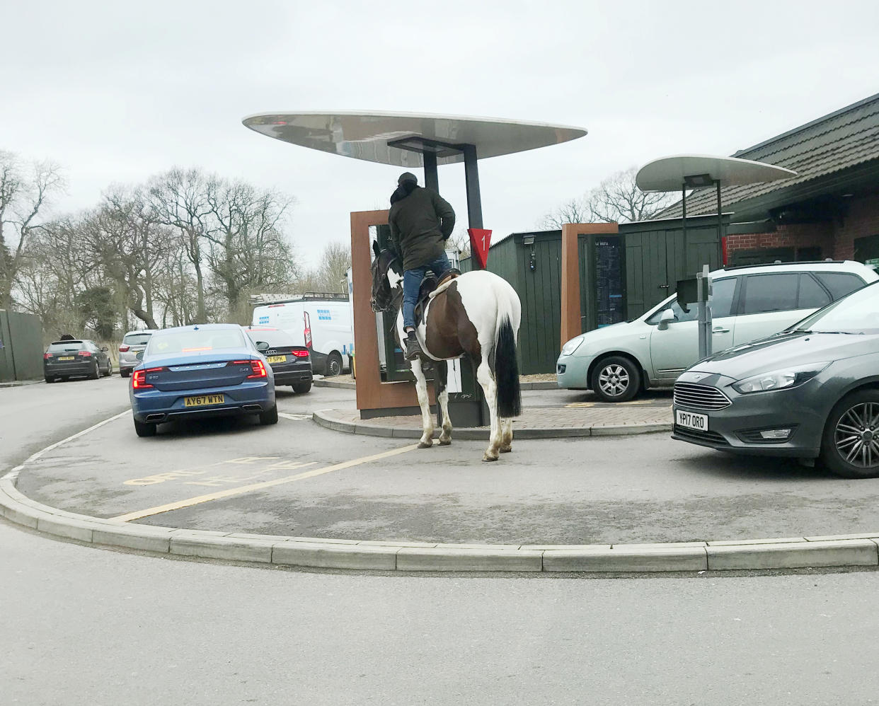 Horsing around: The due slotted into the drive-thru queue nicely between a pair of cars (SWNS)