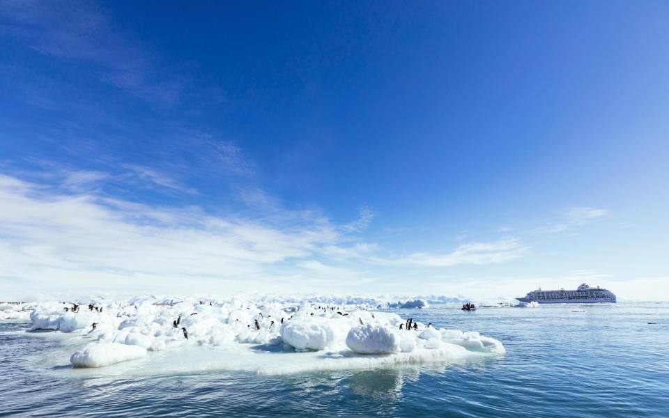 anarctica cruise - Getty