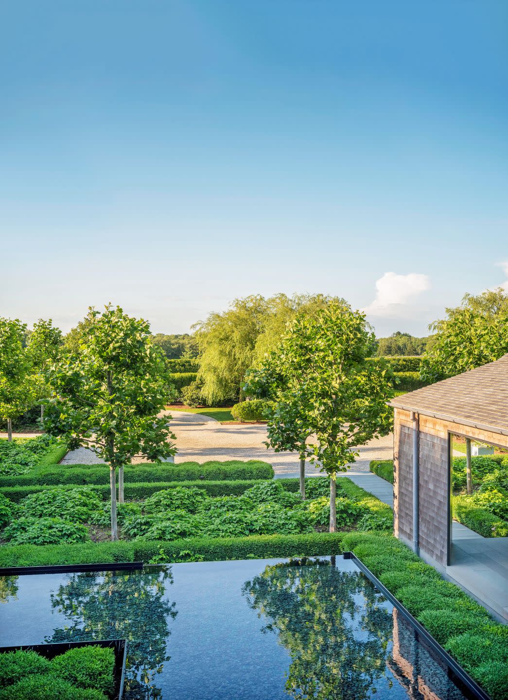 bridgehampton new york home pollarded plane trees give statuesque definition without obscuring views