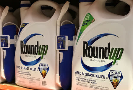 FILE PHOTO: Monsanto Co's Roundup is shown for sale in Encinitas, California, U.S., June 26, 2017. REUTERS /Mike Blake