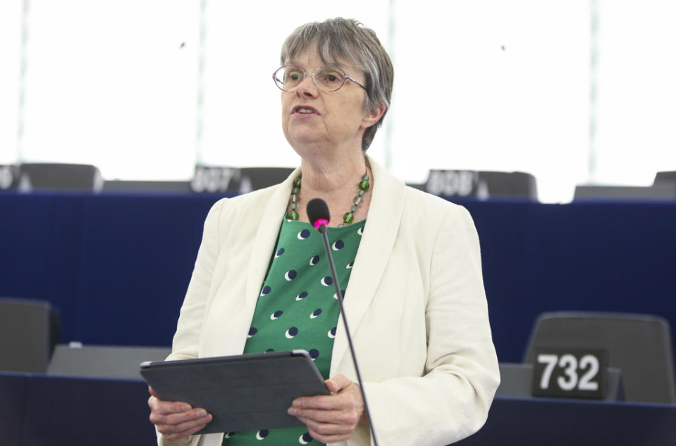 Green MEP Molly Scott Cato has accused Woolfe of “hypocrisy” (European Parliament)