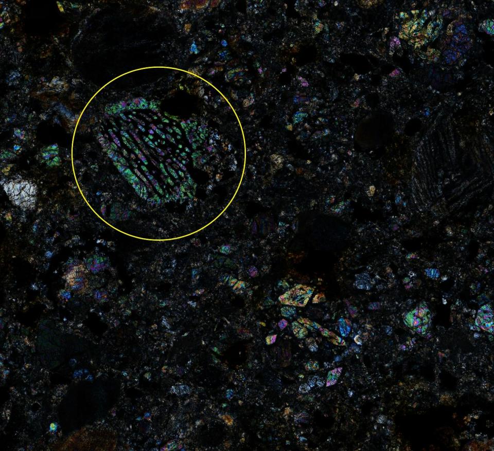 Fotomicrografía de una condrita ordinaria encontrada en el noroeste de África. Este tipo de meteoritos contiene partículas esféricas de minerales llamadas cóndrulos. En el círculo, un cóndrulo de olivino barrado. Francisco Testa/De la colección personal del autor