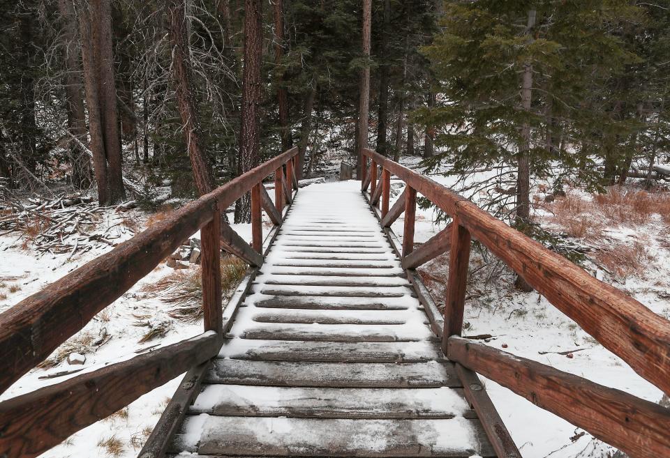 A bridge crossing on the Desert View Trail just a short walk from the Palm Springs Aerial Tramway in Mt. San Jacinto State Park, November 20, 2019.