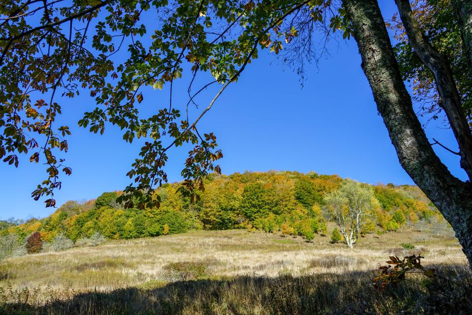 Roan Mountain Gateway is a 91-acre parcel in the Roan Highlands of Mitchell County that has been transferred from the SAHC to the U.S. Forest Service.