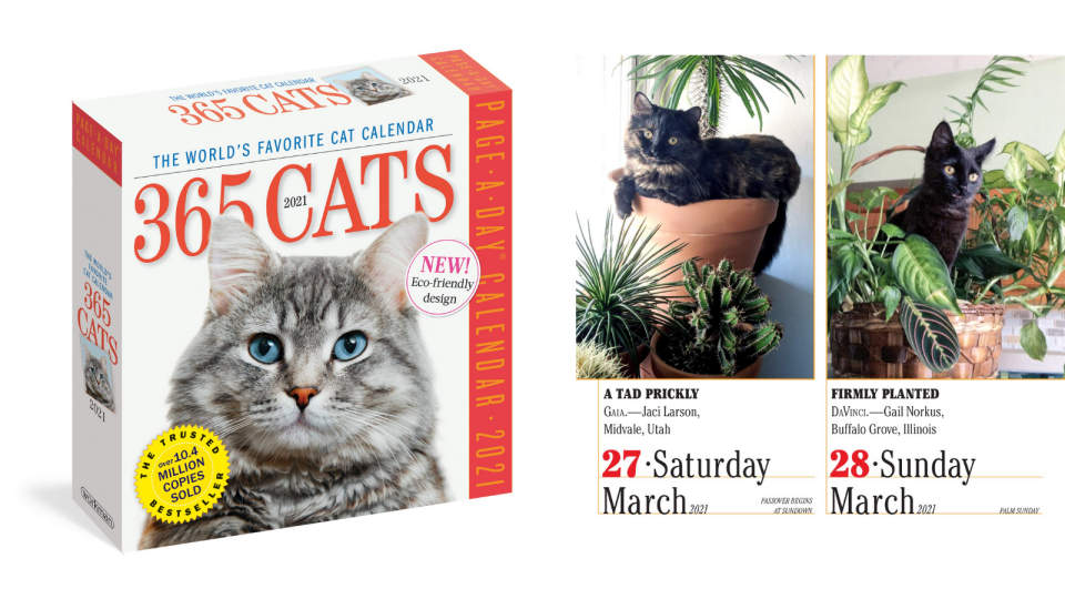 Best cat gifts: Cat-of-the-day calendar