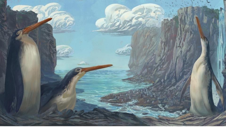 Drawing of giant penguins near water in new Zealand