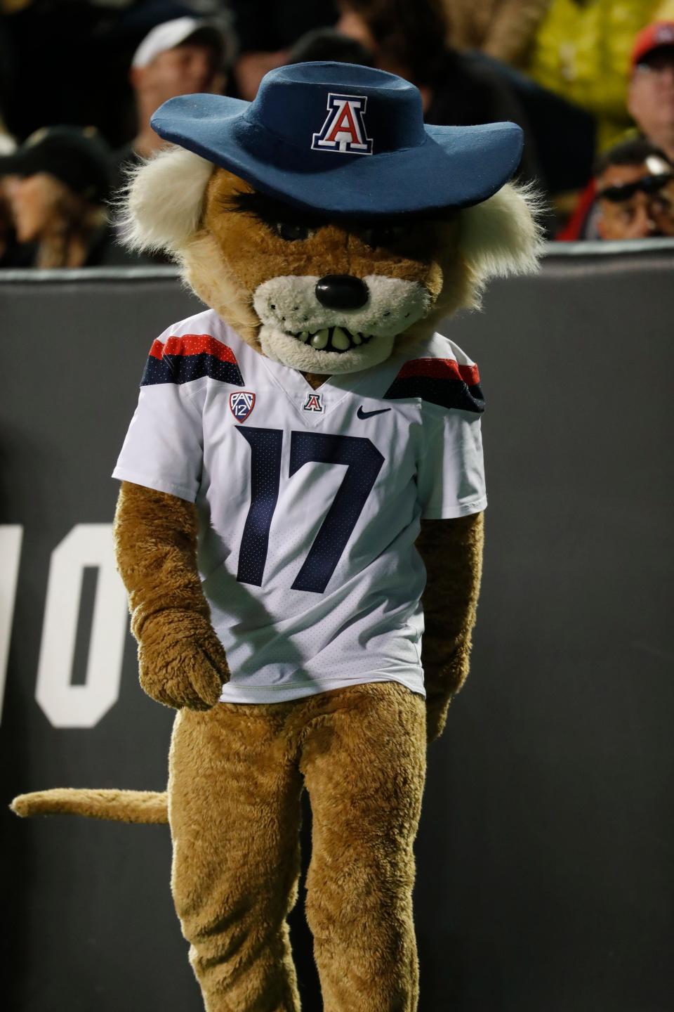 Could the Arizona Wildcats leave the Pac-12 Conference for the Big 12? Speculation is swirling.