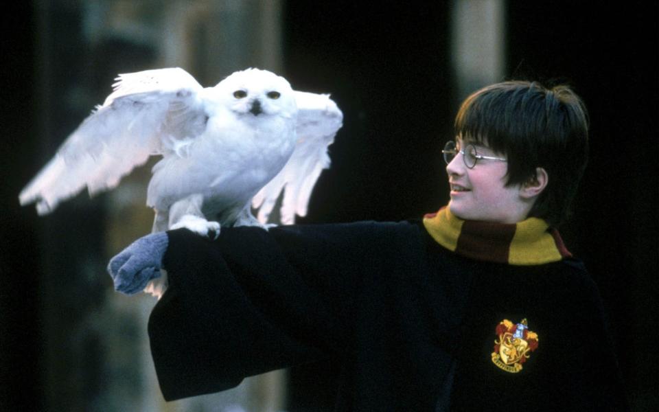 Daniel Radcliffe as Harry Potter - Credit:  Peter Mountain/Reuters