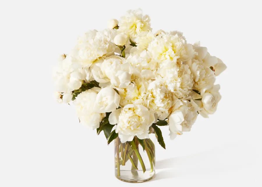 <p><a href="https://go.redirectingat.com?id=74968X1596630&url=https%3A%2F%2Furbanstems.com%2Fproducts%2Fflowers%2Ftriple-the-snow-peony%2FFLRL-T-00177.html&sref=https%3A%2F%2Fwww.harpersbazaar.com%2Ffashion%2Ftrends%2Fg40911125%2Fbest-anniversary-gifts%2F" rel="nofollow noopener" target="_blank" data-ylk="slk:Shop Now;elm:context_link;itc:0;sec:content-canvas" class="link ">Shop Now</a></p><p>Triple The Snow Peony</p><p>urbanstems.com</p><p>$216.00</p>