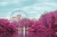 <p>First-time London visitors flock to the central part of the city — and for good reason. It’s the prime location for historic sightseeing, dining and more. Tourist attractions like Big Ben, Buckingham Palace, The Tower Bridge and The London Eye are must-sees and non-negotiables when crossing the pond. </p><p>After taking in the sights, explore this walkable city on foot and discover local gems like <a href="https://www.milkcoffeeldn.com/" rel="nofollow noopener" target="_blank" data-ylk="slk:Milk;elm:context_link;itc:0;sec:content-canvas" class="link ">Milk</a> to get a jolt of java and a tasty bite of house-baked cornbread. Thanks to the mild weather, which hovers around 60 degrees in April, strolling the city by foot or via public transportation is a good idea. </p><p><a class="link " href="https://go.redirectingat.com?id=74968X1596630&url=https%3A%2F%2Fwww.tripadvisor.com%2FTourism-g186338-London_England-Vacations.html&sref=https%3A%2F%2Fwww.goodhousekeeping.com%2Flife%2Ftravel%2Fg42735821%2Fbest-places-to-travel-in-april%2F" rel="nofollow noopener" target="_blank" data-ylk="slk:Shop Now;elm:context_link;itc:0;sec:content-canvas">Shop Now</a></p>