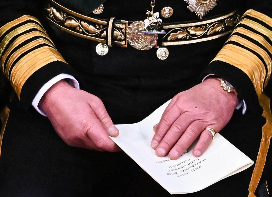 King Charles' hands in May 2022<p>Ben Stansall - WPA Pool/Getty Images</p>