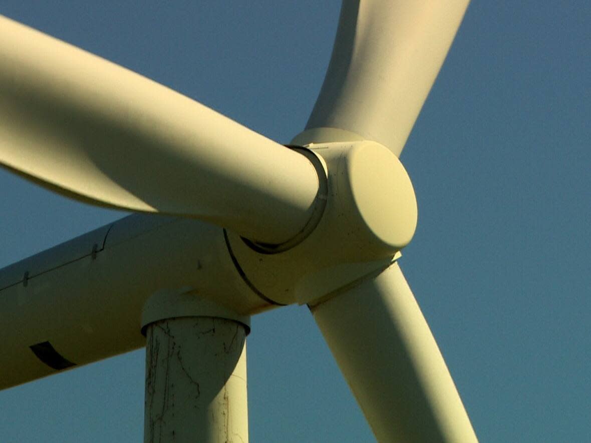 A new proposal in central Newfoundland would see hundreds of windmills erected around Grand Falls Windsor, Botwood, Point Leamington and Leading Tickles. (CBC - image credit)