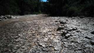 A picture taken on 17 June, 2022 shows a view of the Salindres river, which is totally dried, as a heatwave broke a string of records in France. - The hot weather is in line with warnings from scientists that heatwaves will be more intense and hit earlier than usual thanks to climate change. (Photo by OLIVIER CHASSIGNOLE / AFP)