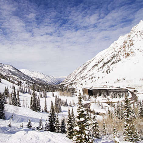 Snowbird Ski & Summer Resort