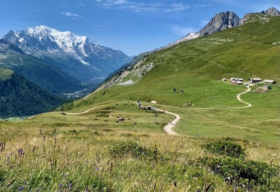 The Chamonix Valley towards Mont Blanc (Margaret Batty)