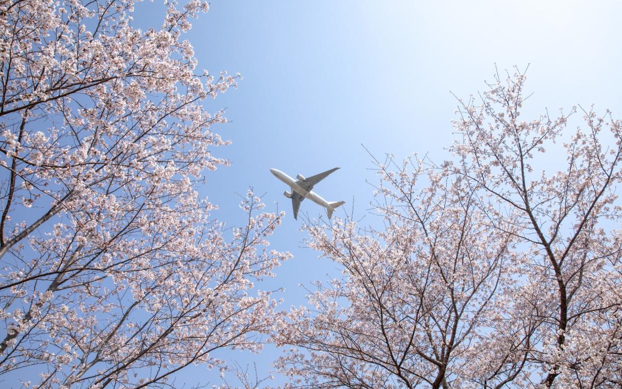 Plane flying overhead