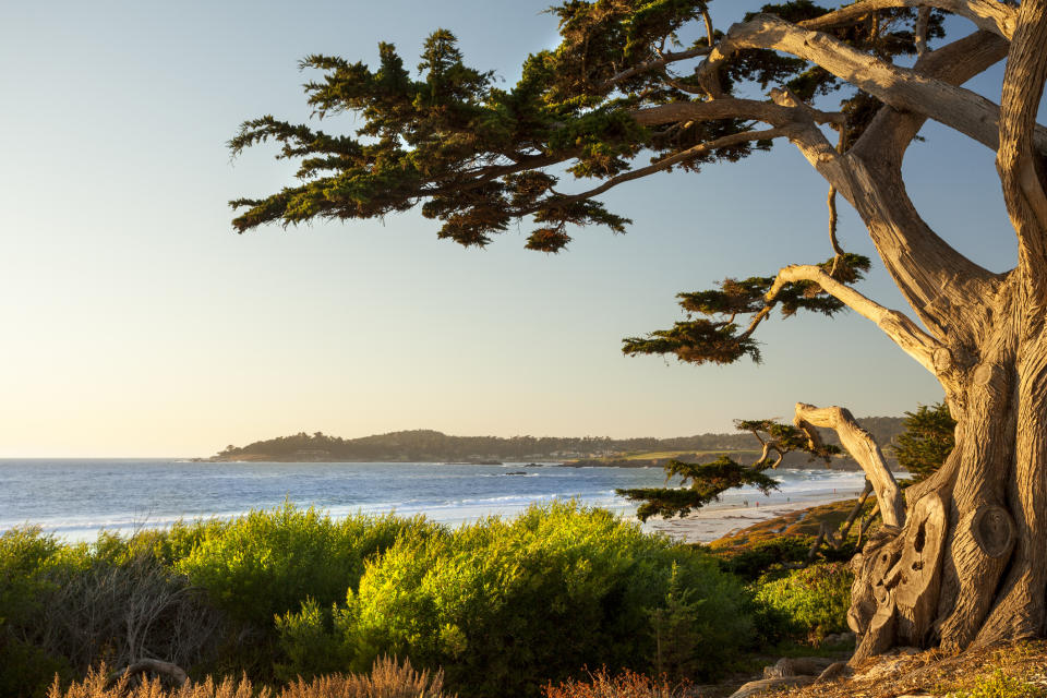 Colorful beachfront in Carmel-by-the-Sea